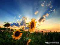 泗阳美蟹汇电子商务有限公司