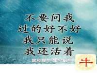 泗阳美蟹汇电子商务有限公司
