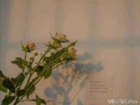 泗阳美蟹汇电子商务有限公司