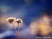 泗阳美蟹汇电子商务有限公司