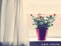 泗阳美蟹汇电子商务有限公司