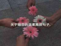 泗阳美蟹汇电子商务有限公司