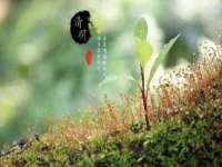 泗阳美蟹汇电子商务有限公司