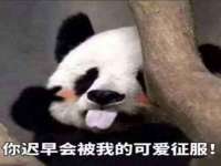 泗阳美蟹汇电子商务有限公司