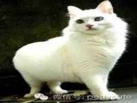 泗阳美蟹汇电子商务有限公司