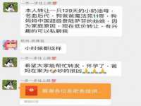 泗阳美蟹汇电子商务有限公司
