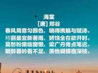 泗阳美蟹汇电子商务有限公司
