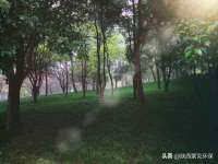 泗阳美蟹汇电子商务有限公司