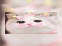 泗阳美蟹汇电子商务有限公司