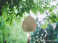 泗阳美蟹汇电子商务有限公司