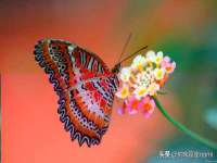 泗阳美蟹汇电子商务有限公司