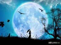 泗阳美蟹汇电子商务有限公司