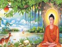 泗阳美蟹汇电子商务有限公司